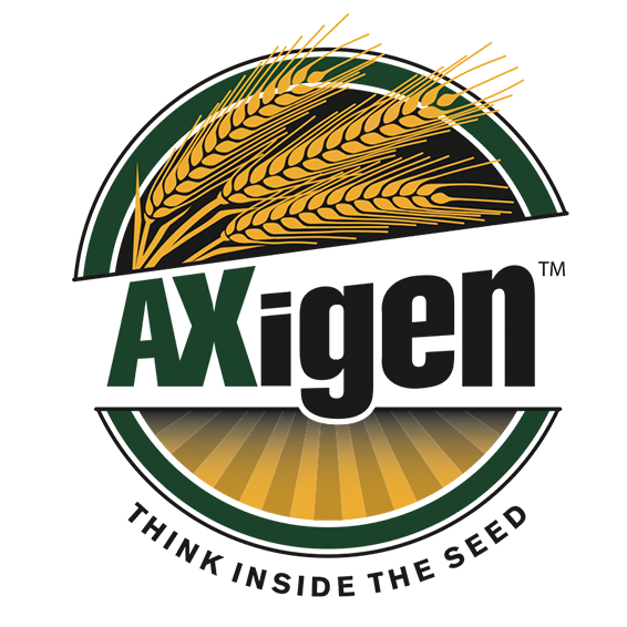 AXigen Logo