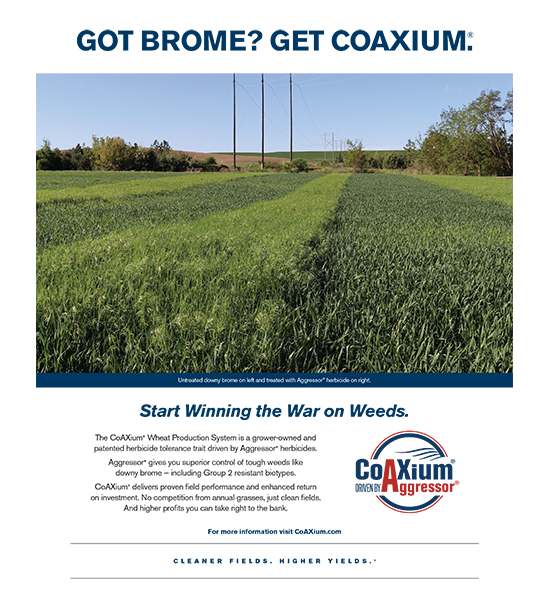 CoAXium Downy Brome Guide