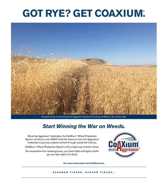 CoAXium Feral Rye Guide